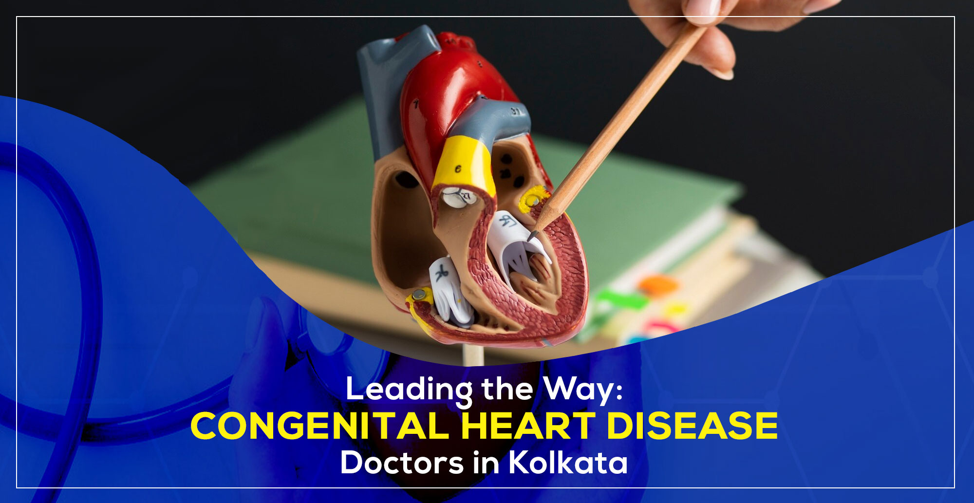 Best Congenital Heart Disease Doctors in Kolkata